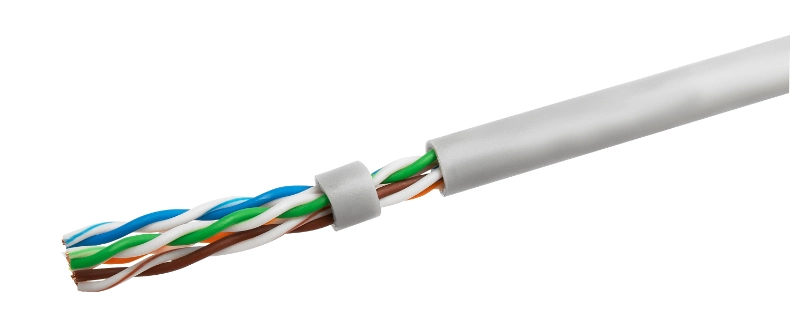 Premium Cat5e LAN Ethernet Network Cable with Fluke Testing for Optimal Performance and Data Integrity Networking